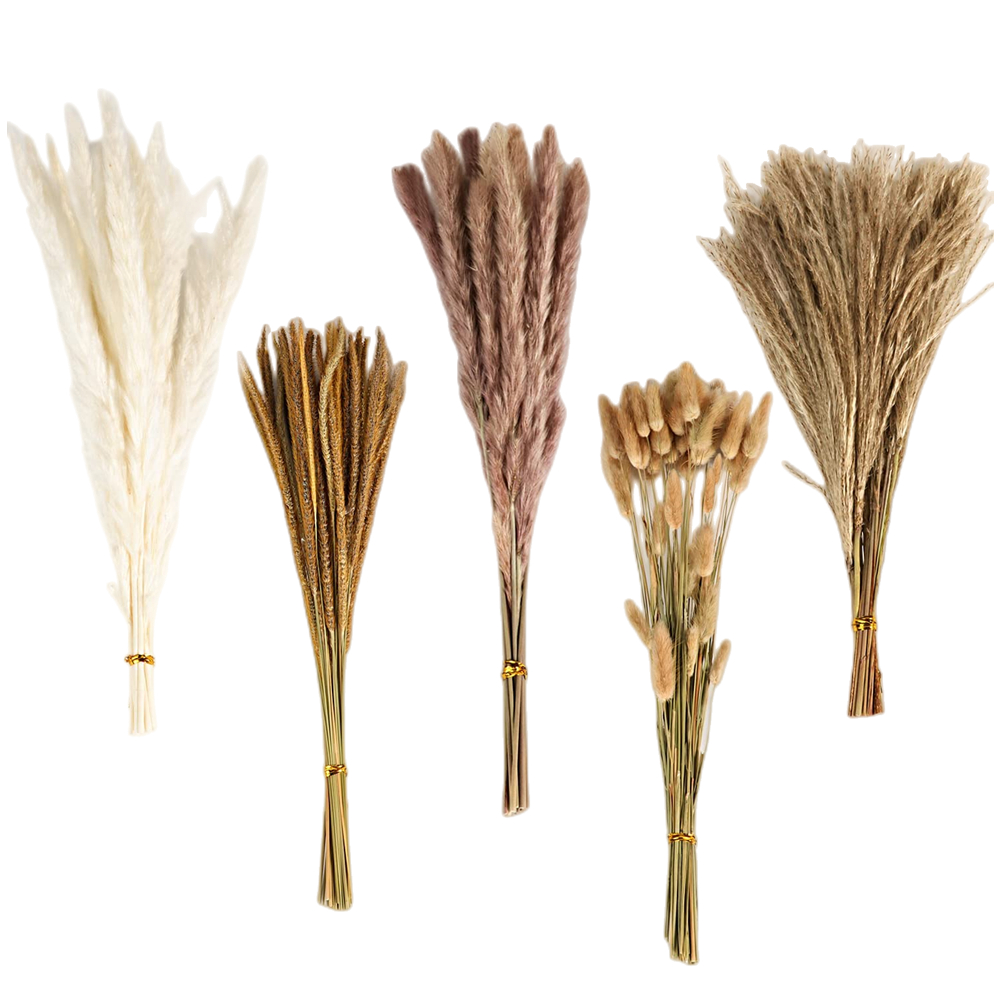 Bouquet de fleurs séchées méla - Florist Supply Vases avis et prix
